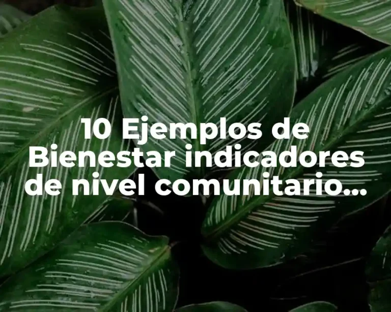 10 Ejemplos de Bienestar indicadores de nivel comunitario seguridad social