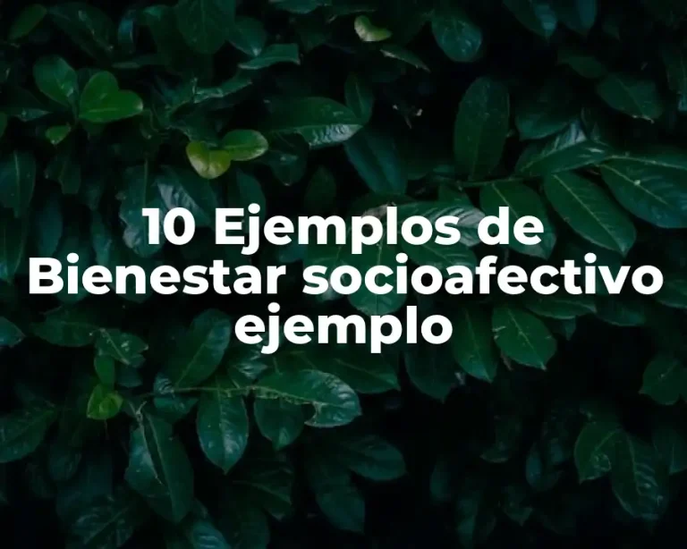 10 Ejemplos de Bienestar socioafectivo ejemplo
