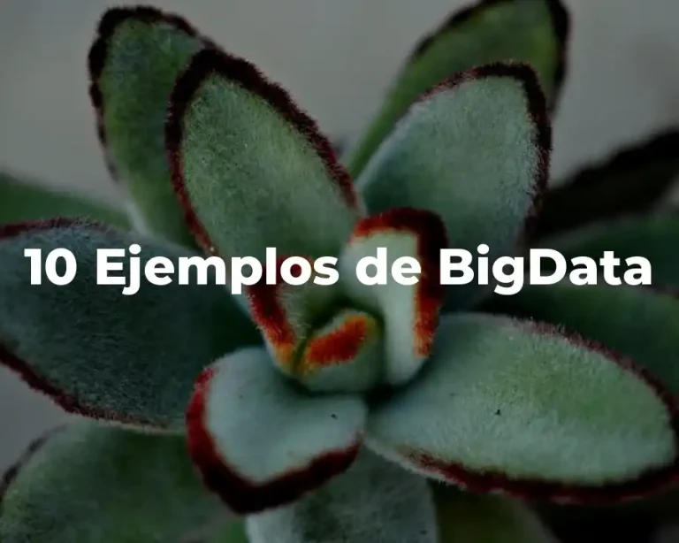 10 Ejemplos de BigData