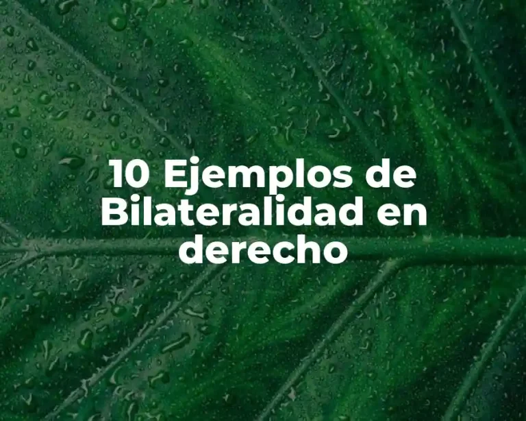 10 Ejemplos de Bilateralidad en derecho