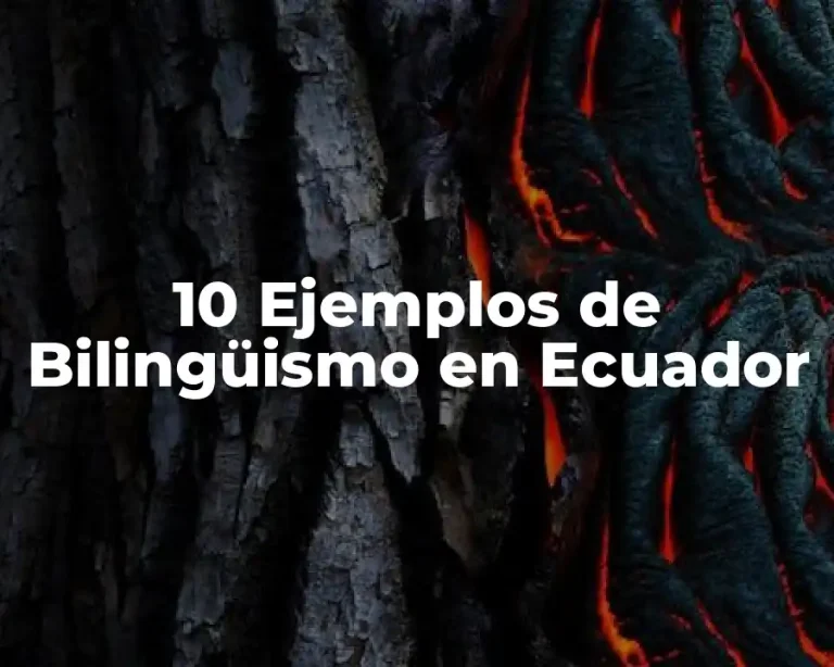 10 Ejemplos de Bilingüismo en Ecuador