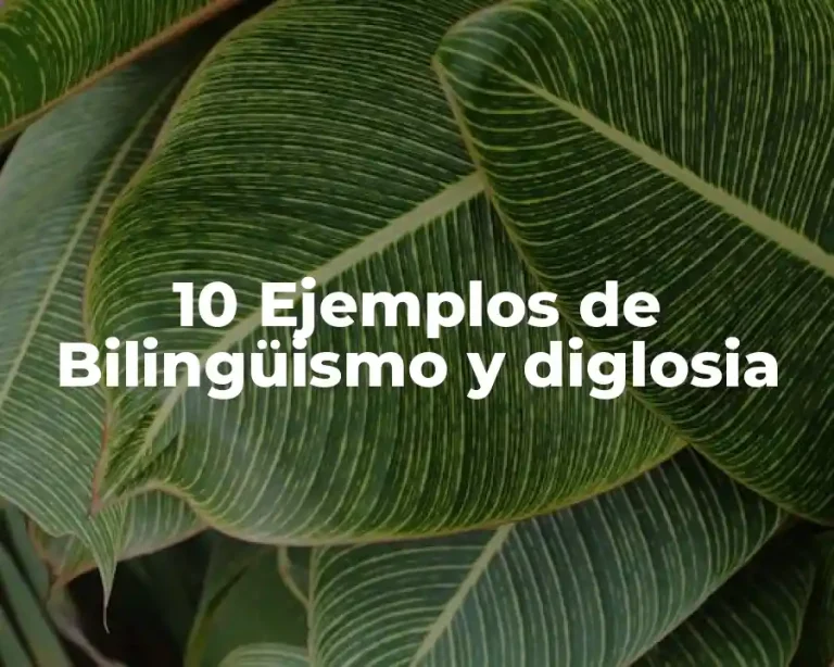 10 Ejemplos de Bilingüismo y diglosia