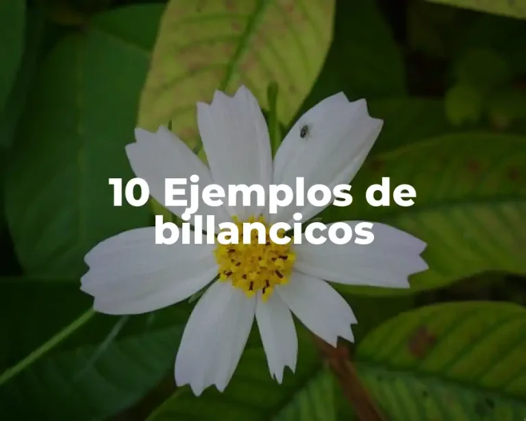 10 Ejemplos de billancicos