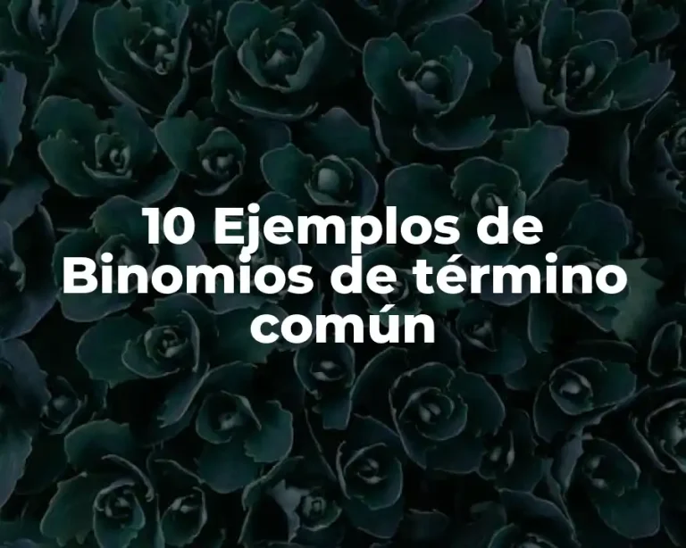 10 Ejemplos de Binomios de término común