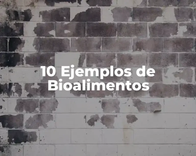 10 Ejemplos de Bioalimentos
