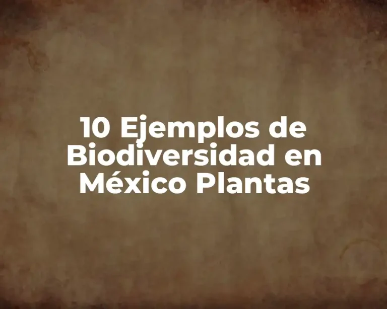 10 Ejemplos de Biodiversidad en México Plantas