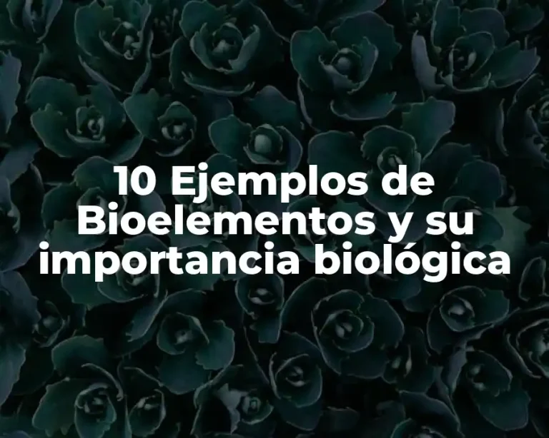 10 Ejemplos de Bioelementos y su importancia biológica