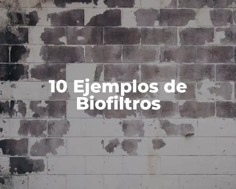 10 Ejemplos de Biofiltros