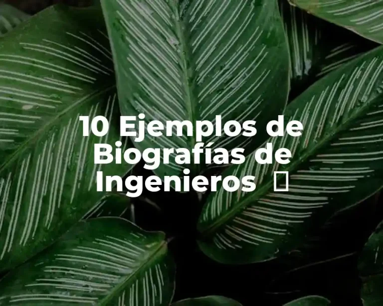 10 Ejemplos de Biografías de Ingenieros  ️
