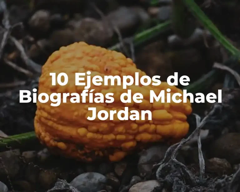 10 Ejemplos de Biografías de Michael Jordan