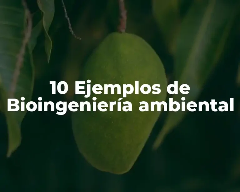 10 Ejemplos de Bioingeniería ambiental