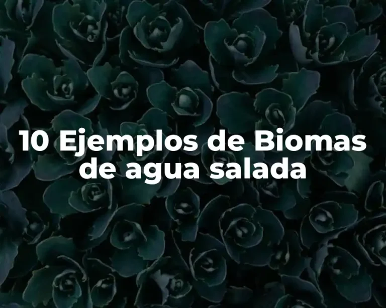 10 Ejemplos de Biomas de agua salada