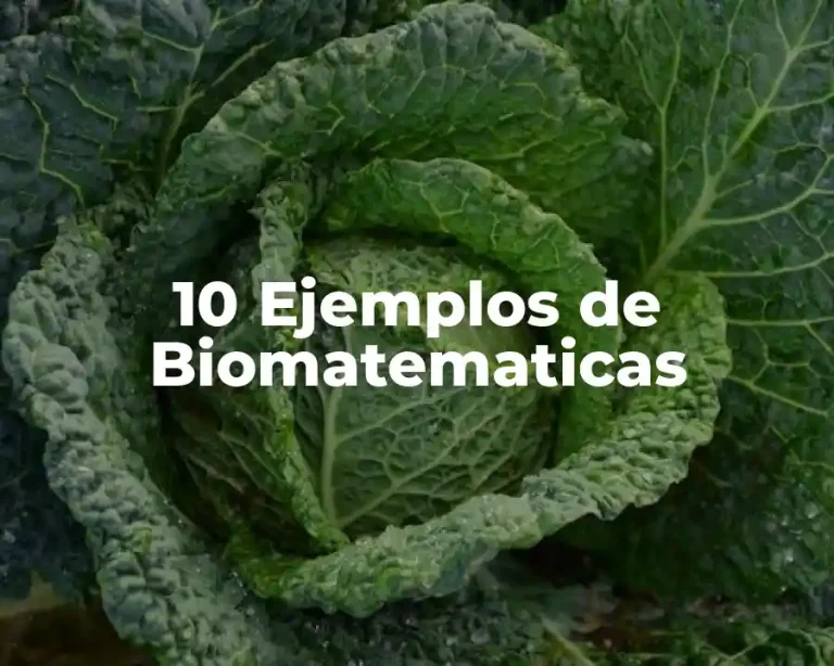 10 Ejemplos de Biomatematicas