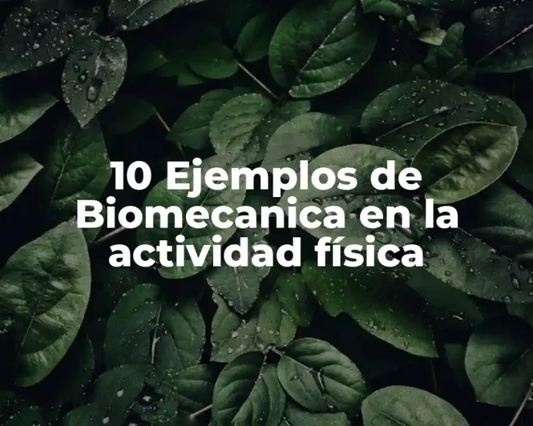 10 Ejemplos de Biomecanica en la actividad física