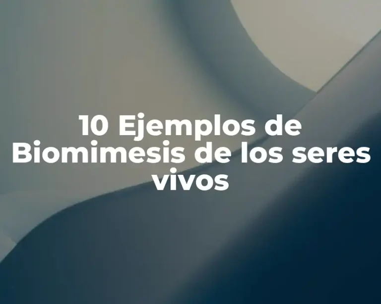 10 Ejemplos de Biomimesis de los seres vivos