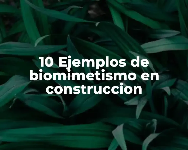 10 Ejemplos de biomimetismo en construccion