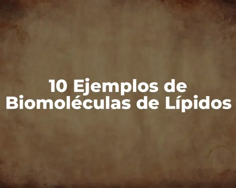 10 Ejemplos de Biomoléculas de Lípidos