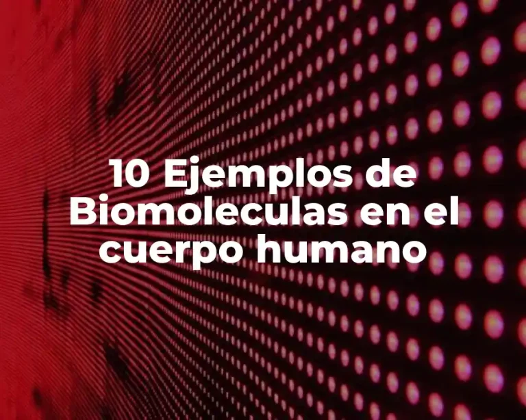 10 Ejemplos de Biomoleculas en el cuerpo humano