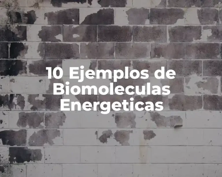 10 Ejemplos de Biomoleculas Energeticas
