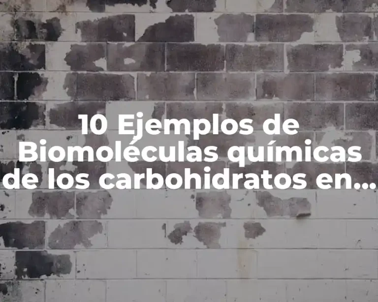 10 Ejemplos de Biomoléculas químicas de los carbohidratos en su estructura