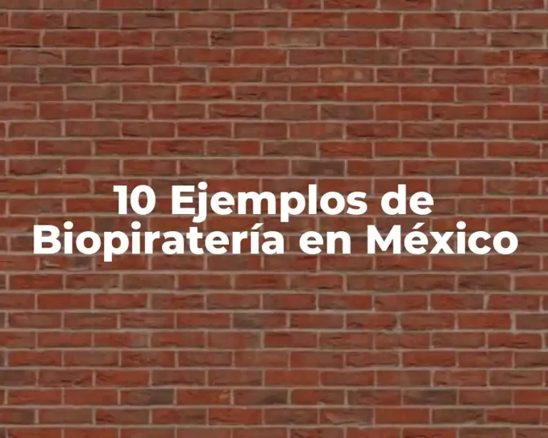10 Ejemplos de Biopiratería en México