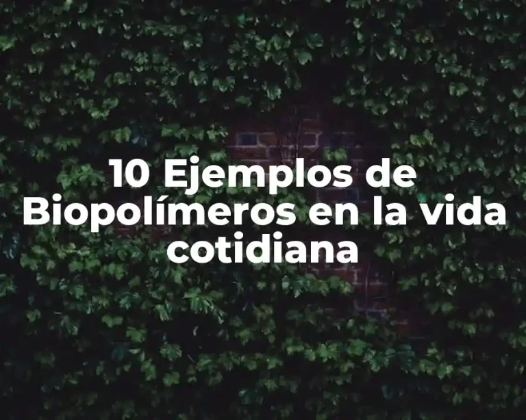 10 Ejemplos de Biopolímeros en la vida cotidiana