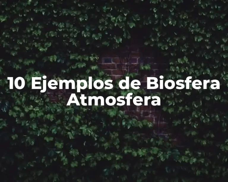 10 Ejemplos de Biosfera Atmosfera