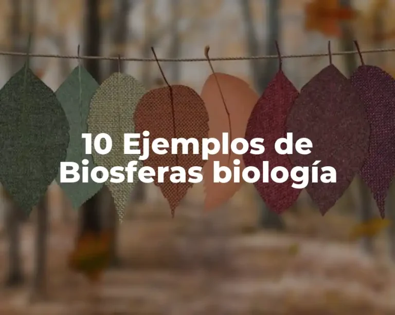 10 Ejemplos de Biosferas biología