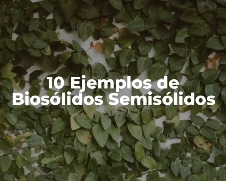 10 Ejemplos de Biosólidos Semisólidos