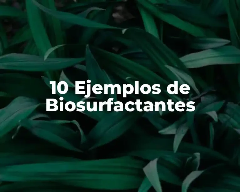 10 Ejemplos de Biosurfactantes
