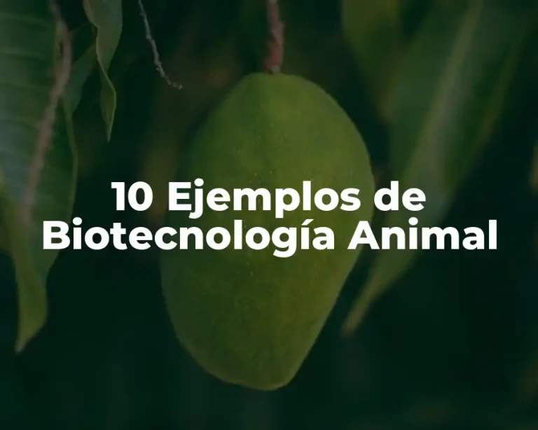 10 Ejemplos de Biotecnología Animal