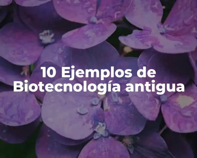 10 Ejemplos de Biotecnología antigua