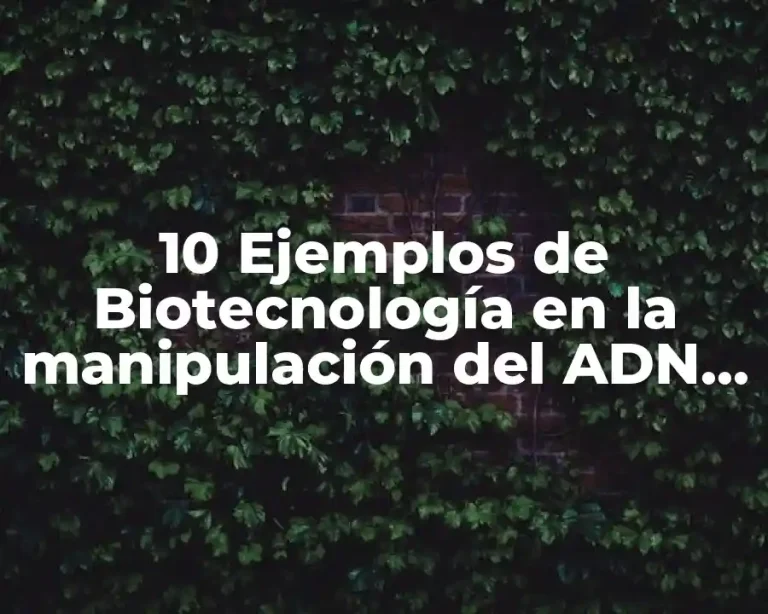 10 Ejemplos de Biotecnología en la manipulación del ADN UNAM