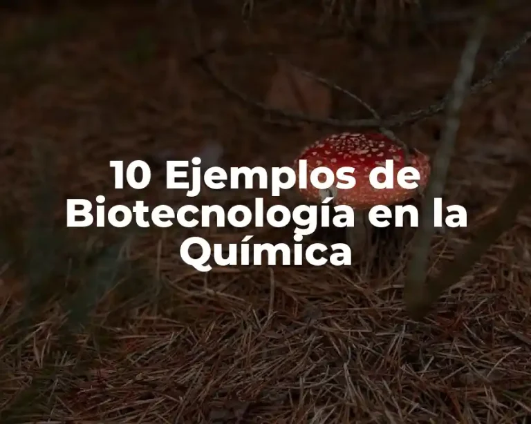 10 Ejemplos de Biotecnología en la Química