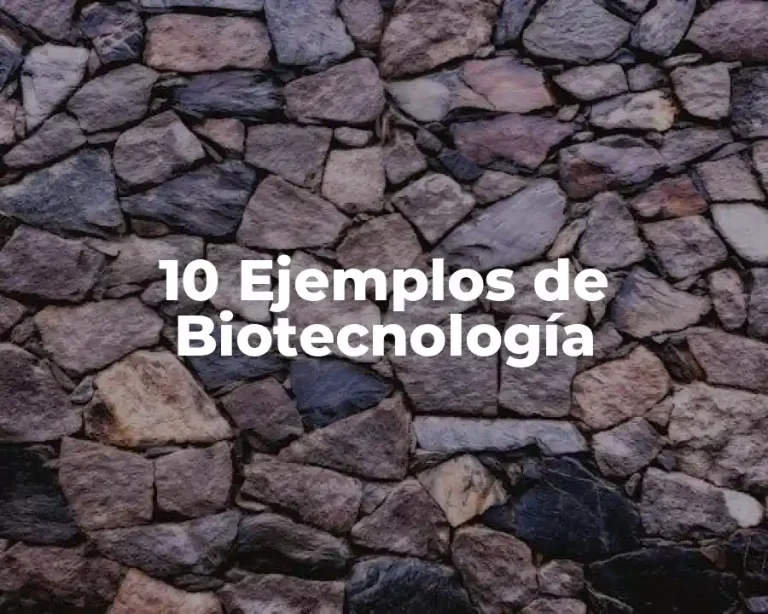 10 Ejemplos de Biotecnología