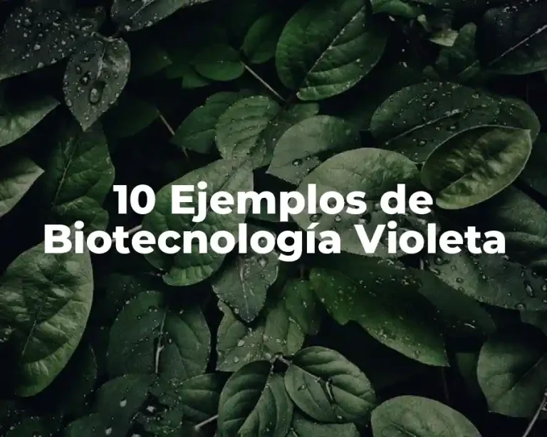 10 Ejemplos de Biotecnología Violeta