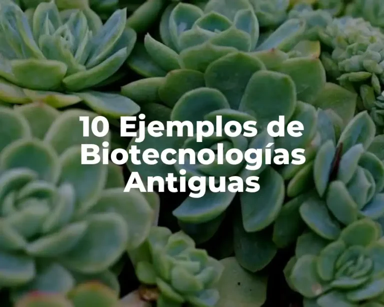 10 Ejemplos de Biotecnologías Antiguas