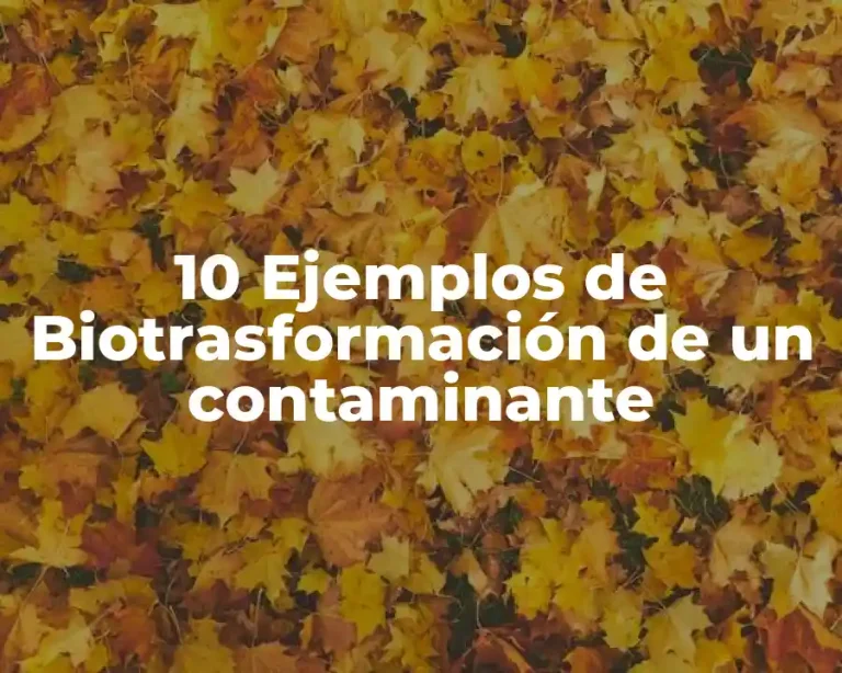 10 Ejemplos de Biotrasformación de un contaminante