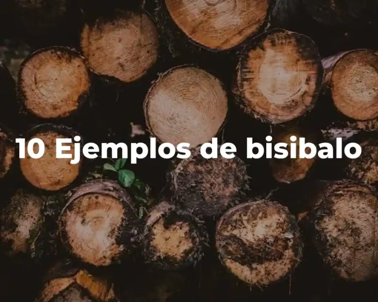 10 Ejemplos de bisibalo