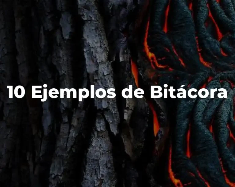 10 Ejemplos de Bitácora