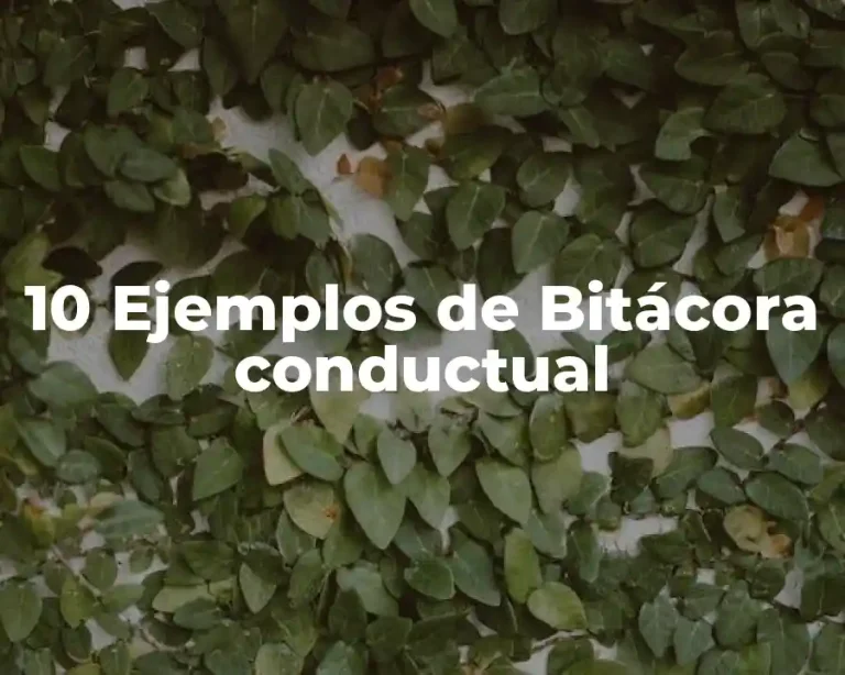 10 Ejemplos de Bitácora conductual