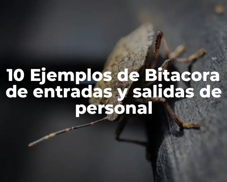 10 Ejemplos de Bitacora de entradas y salidas de personal