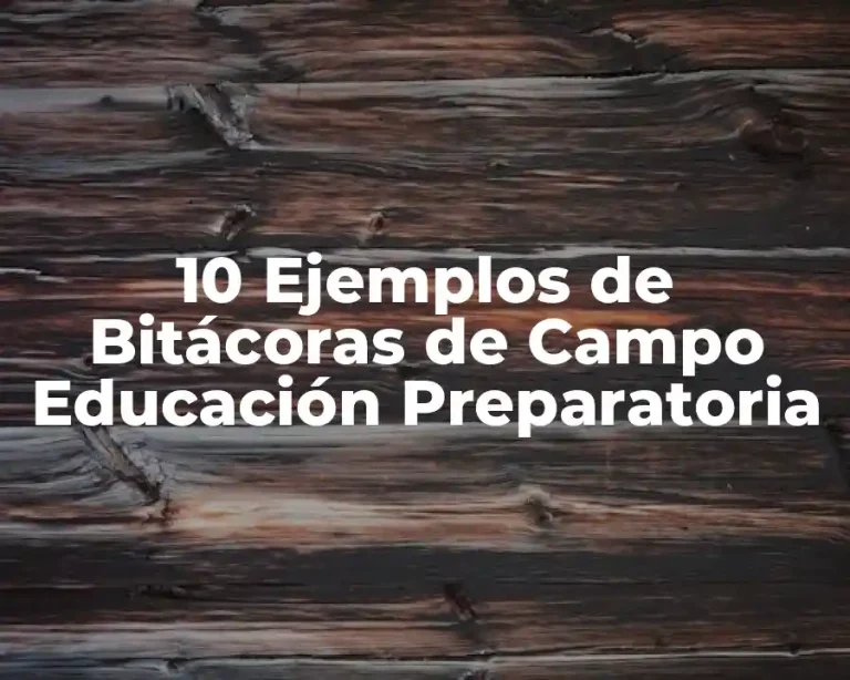 10 Ejemplos de Bitácoras de Campo Educación Preparatoria