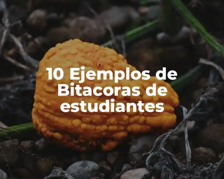 10 Ejemplos de Bitacoras de estudiantes