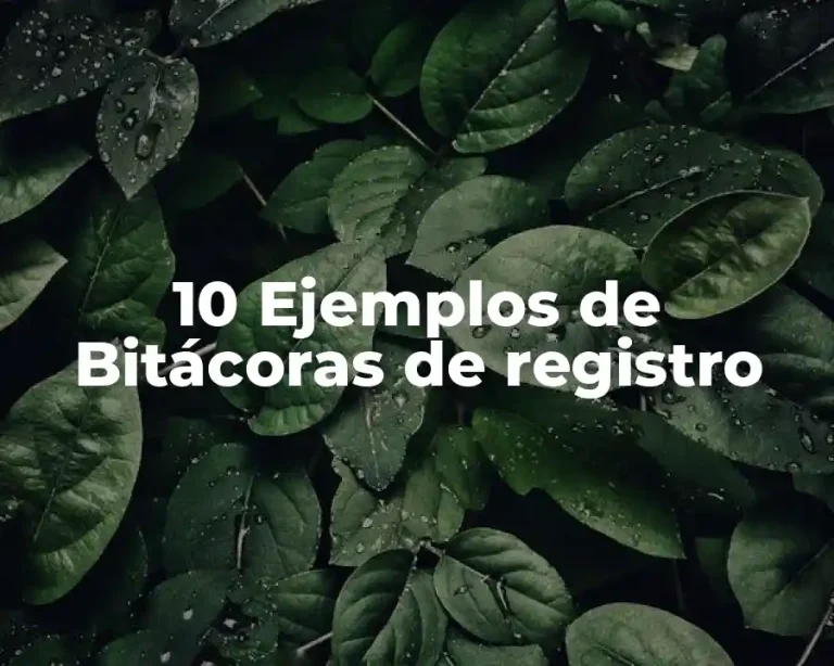 10 Ejemplos de Bitácoras de registro
