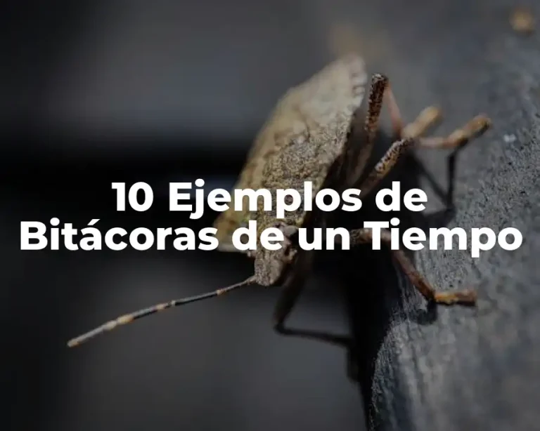 10 Ejemplos de Bitácoras de un Tiempo