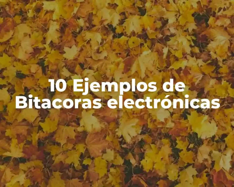 10 Ejemplos de Bitacoras electrónicas