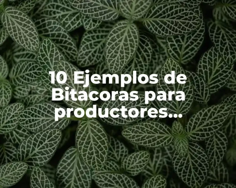 10 Ejemplos de Bitacoras para productores agropecuarios