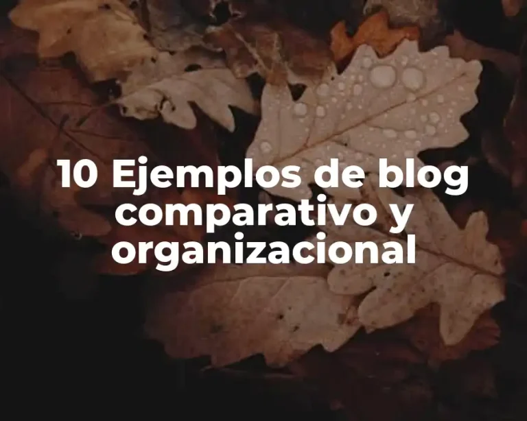 10 Ejemplos de blog comparativo y organizacional