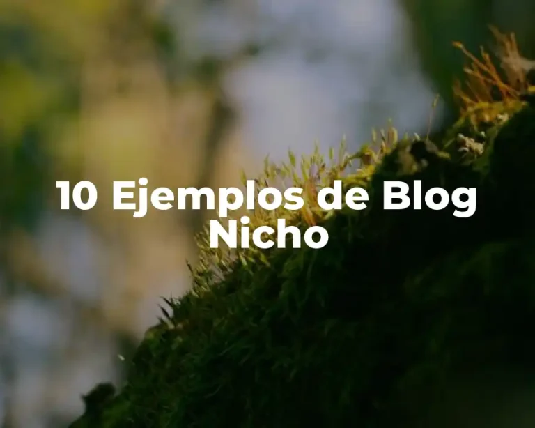 10 Ejemplos de Blog Nicho